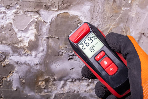 Water Damage Restoration in Lloyd Harbor, NY